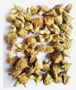 Naturally Dried Palleru Kayalu |   | Gokshura |Puncture Vine | Gokhru | Tribulus Terrestris Seeds | Caltrops | Mexican sandbur | Texas sandbur - (100 Grams) view 3