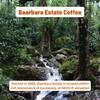 Toffee Coffee Roasters | Baarbara Estate Coffee | Single Origin Arabica Light to Medium Roast, Notes: Dry Almond, Coco and Honey, Grind: Whole Beans, Freshly Roasted- 250 gms view 3