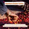 Toffee Coffee Roasters | Baarbara Estate Coffee | Single Origin Arabica Light to Medium Roast, Coffee Notes: Dry Almond, Coco and Honey, Grind: Drip Over, Freshly Roasted Coffee - 1000 gms view 4