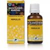 New Life Bach Flower Mimulus (100ml) view 1
