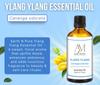 Aadi Mool Ylang Ylang Essential Oil | For Stress Relief, Skin Care & Aromatherapy - 15ML view 2