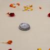 Shri Anand Lead Ranga Round Heavy Coins for Lal kitab red Book and Astrological Remedies & Floating in Water (100gm | Pack 04) view 2