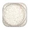 555 Whole Sabudana (Tapioca Pearls/Sago) - [Ideal for Khichdi, Papad, Kheer and Other Upvas Dishes] - Fresh | 100% natural | Tapioca Pealrs |450 grams view 4