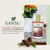 SANSU Gond Chilgoza 100% Natural And Pure, Chilgoja, Oringinal Gond Chilgoza And Dried Gum 50g view 4