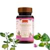 Ayurleaf Herbals Punarnava Capsules With Goodness of Natural Punarnava Extract known for Healthy Appetite, Heart and Urinary Health (Pack of 2, 120 Capsules) view 1