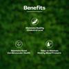 Ayush Herbs Arjuna Cardiac Support | Helps in Strengthening the weakened heart muscles | 60 Capsules view 4