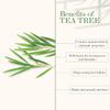 Araket Tea Tree Essential Oil Pure & Natural for Hair, Face, Skin 15Ml view 3