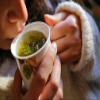 SAI HERBS Alfaalfa Grass Matcha Tea - For a Healthy Lifestyle - Luxury Matcha Tea - Pure & Natural (100 Grams) view 3