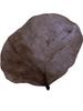 Aadityaa's Palash Butea Dhak ke Teen Paatte Bastard teak Sacred Plant Green Leaves for Astrology Vastu Remedy with Health Improvement Pack of Large Size 15 Leaves with Stalk. (Dry Palash Leaf) view 1