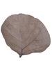 Aadityaa's Palash Butea Dhak ke Teen Paatte Bastard teak Sacred Plant Green Leaves for Astrology Vastu Remedy with Health Improvement Pack of Large Size 15 Leaves with Stalk. (Dry Palash Leaf) view 2