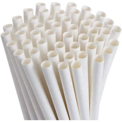 Eco-Friendly Paper Straws | Eco-Friendly Compostable Sustainable Disposable Drinking Straws | Juice Smoothie Thick Shakes Non-Bendable White Straws (12 mm, 25)