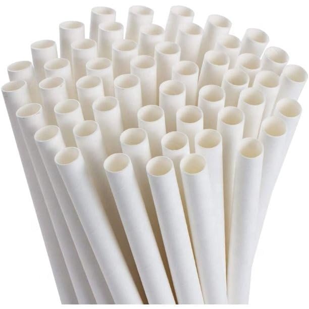 Eco-Friendly Paper Straws | Eco-Friendly Compostable Sustainable Disposable Drinking Straws | Juice Smoothie Thick Shakes Non-Bendable White Straws (12 mm, 25)