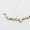 Eco-Friendly Paper Straws | Eco-Friendly Compostable Sustainable Disposable Drinking Straws | Juice Smoothie Thick Shakes Non-Bendable White Straws (12 mm, 25) view 4