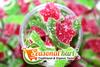 SEASONALKART Authentic Handcrafted Guava Fruit Jelly Smooth And Flavorful Sugar Coated Jelly Candy (1 KG) view 4