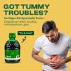 NAMDEV ORGANICS Digor Ds Syrup -400 Ml|Ayurvedic Syrup For Gastric & Digestive Health view 2