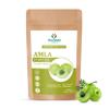 Moolveda Pure & Organic 100% Natural Amla Indian Gooseberry Fruit Powder for Hair Growth, Skin, Drinking and Eating - 100g view 1