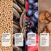 DAME HEALTH Womens Plant Protein | 24g Protein per Serve | Pack of 2 (1Kg) | Real Vanilla Flavor | Vegan Pea Protein Isolate | No Bloating, Easy to Digest | 6 Natural Antioxidants | Safe | Sweetened with Monk Fruit | For the Everyday Woman view 4