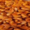 Diwali Sale Biscuits & Cookies Kaju Shape Masala Biscuits Cookies for Chai & Coffee Time Yummy & Tasty (400gm) Great Indian Festival view 2