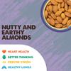 RUDVED Dry Fruits Jar Combo Pack of 5 X 400 gm Almonds Cashew Pista Raisins Walnuts view 3