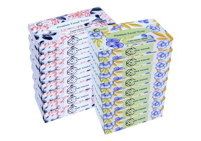 E-Vah Premium Ultra-Soft 2-Ply Facial Tissue Paper, 16 Packs (1600 Pulls) Super Absorbent, Gentle on Sensitive Skin, Made with Virgin Paper for Superior Hygiene and Everyday Comfort