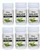 SANSU Giloy Churan For According to Ayurveda Shastra Giloy is also Effective in Protection against Free Radical 100g (Pack of 6) view 1