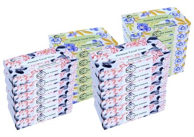 E-Vah Premium Ultra-Soft 2-Ply Facial Tissue Paper, 24 Packs (2400 Pulls) Super Absorbent, Gentle on Sensitive Skin, Made with Virgin Paper for Superior Hygiene and Everyday Comfort