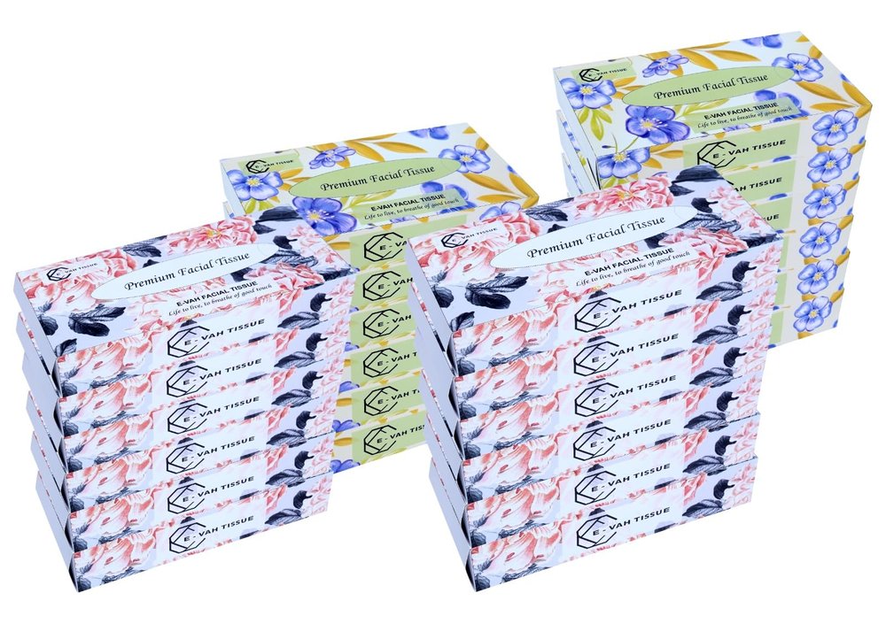 E-Vah Premium Ultra-Soft 2-Ply Facial Tissue Paper, 24 Packs (2400 Pulls) Super Absorbent, Gentle on Sensitive Skin, Made with Virgin Paper for Superior Hygiene and Everyday Comfort