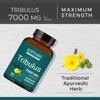 ERTHRI Tribulus Tablet - 7000mg, 90 tablets | Energy Booster Supplements | Support Energy & Strength | General Wellness| view 2