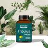ERTHRI Tribulus Tablet - 7000mg, 90 tablets | Energy Booster Supplements | Support Energy & Strength | General Wellness| view 3