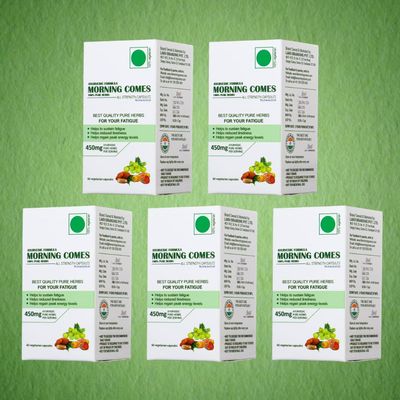 Morning Comes Ayurvedic All Strength Capsules | 450 mg Herbal Blend with Dates, Mango Seed & Amla for Daily Wellness, Energy, Stamina, Blood Sugar Support & Immune Health | 300 Capsules (Pack of 5)