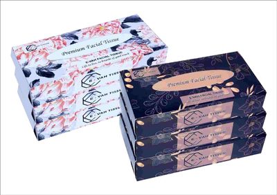 E-Vah 2-Ply Facial Tissue Papers, Soft Pack, 600 Pulls (6 Packs) | Ultra-Soft, Highly Absorbent, Hygienic & Safe for Sensitive Skin (100 Pulls per Pack)