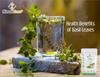 Nimadi Zone Tulsi Leaf Powder/Holy Basil Leaf Powder - 500 GM X 2 = 1 KG by Nimadi Zone view 3
