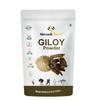 Nimadi Zone Giloy/Guduchi/Tinospora cordifola Powder | Immunity support - 200 GM By Nimadi Zone view 1