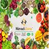 Nimadi Zone Gokhru Seeds Powder | Tribulus Terrestris Powder | Gokshura | Caltrops | 100 grams view 3