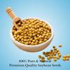 Aromatica India Organic Soybean Seeds Glycine Max Soya Bean Raw Non-GMO for Tofu Cooking Planting 20kg view 3