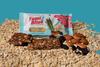 Femi Bites| Womens Multivitamin Bar With Shatavari |Nutrient Rich |High Dietary Fiber| No Added Preservatives | Net Weight- 175 |100% Natural Wellness for Women, Bite By Bite (Pack of 7) view 2