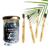 Arani Eco Dental Care Kit Blueberry|4 Adult Size Bamboo Tootbrushes|1 Jar Of Mintoo Blueberry Flavour 125 Tablets|Sulphate And Peg Free Toothpaste Tablets|Biodegradable Manual Toothbrushes view 1