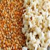 FreshoCartz Popcorn Kernels | Imported Raw Maize | Ready to Cook | High Expansion | Homemade Healthy Snacks - Jar Pack (Unflavoured, 400g (Pack of 1)) view 4
