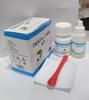 Dengen Dental Care Kit, Powder 15gm, Liquid 10ml view 4