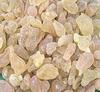 Pmw - Seema Guggilam - Shallaki Gum - Boswellia Serrata Gum - 250 g view 1