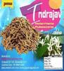 Pmw - Indrajav - Jar Pack - Holarrhena Pubescens Seeds - Inderjoo Kadwa - Inderjau Kadwa - 100 g view 2