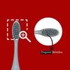 PUREXA Replacement Brush Heads for Sonic Sleek Electric Toothbrush | Effective Plaque Removal & Healthier Smile with Soft Dupont Bristles | Pack of 2 view 3