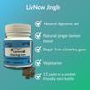 livNow Jingle | Ginger Lemon Sugar Free Chewing Gum | For Motion Sickness and Stress-Free Travel | Mini-Bottle (12 units) | Pack of 2 view 2