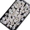 ELBME 1Box for Anterior Teeth + 1 Box for Molar Dental Temporary Crown Veneers Set view 3