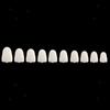 ELBME 1Box for Anterior Teeth + 1 Box for Molar Dental Temporary Crown Veneers Set view 4