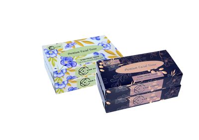 E-Vah UltraSoft Facial Tissues - Hypoallergenic 2-Ply Tissue Paper 100 Sheets Each) Pack of 4, Gentle on Skin, Extra Soft, Absorbent, Ideal for Sensitive Skin and Gentle Care