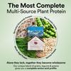 Wellbeing Nutrition Organic Vegan Plant Protein Isolate| 22g Protein, 5g BCAA, 3B CFU Probiotics, Digest Enzymes, 3g Fiber, 5 Alkalizing Greens| NO Bloating, Easy to Digest| Canadian Mixed Berry 500gm view 3