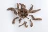 OGOC Karuthakottam - Dried Costus Root (Indian Costus) | Koshtam, Kuth,Ancient Herbal Tradition-50g view 4