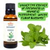 La Aromatic Peppermint Flavour Essence-100ml/3.4oz view 2