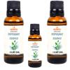 La Aromatic Peppermint Flavour Essence-100ml/3.4oz view 4